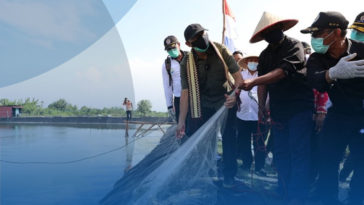 Menkop Dorong Koperasi Petambak Tingkatkan Produksi