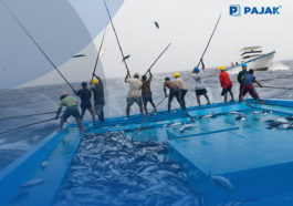 Ini 3 Poin Aturan Turunan UUCK Tata Kelola Perikanan
