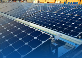 Wujudkan Energi Bersih, Pertamina Bangun Pembangkit Listrik Tenaga Surya di GBK
