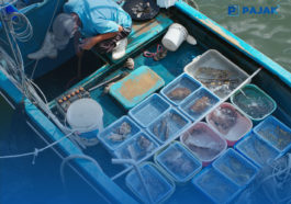 100 Nelayan Magelang Dilatih Hasilkan Produk Olahan Ikan