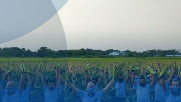 Ketahanan Pangan dengan Diversifikasi Pangan, Optimalisasi Lahan dan Implementasi Teknologi