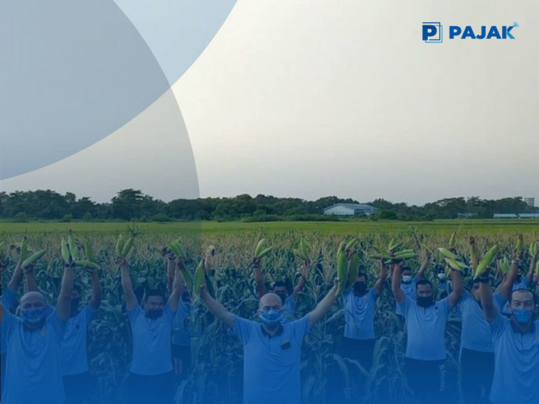 Ketahanan Pangan dengan Diversifikasi Pangan, Optimalisasi Lahan dan Implementasi Teknologi