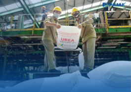 PT Pupuk Indonesia Insentif Fiskal Pembangunan Pabrik Pupuk di Papua