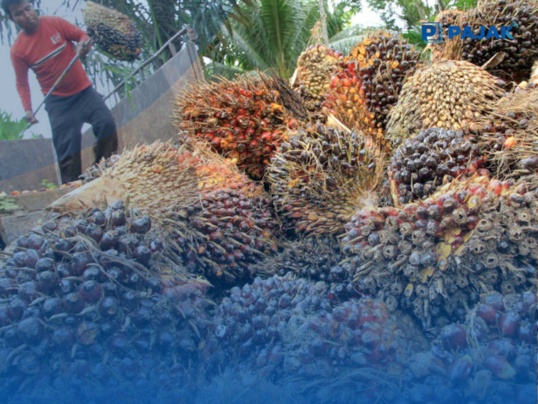Kementerian Badan Usaha Milik Negara Restrukturisasi Kredit PT Perkebunan Nusantara III