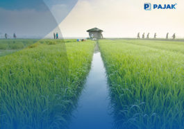 PT Pupuk Indonesia Tambah Kapasitas Produksi Pupuk