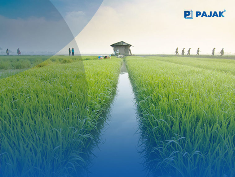 PT Pupuk Indonesia Tambah Kapasitas Produksi Pupuk