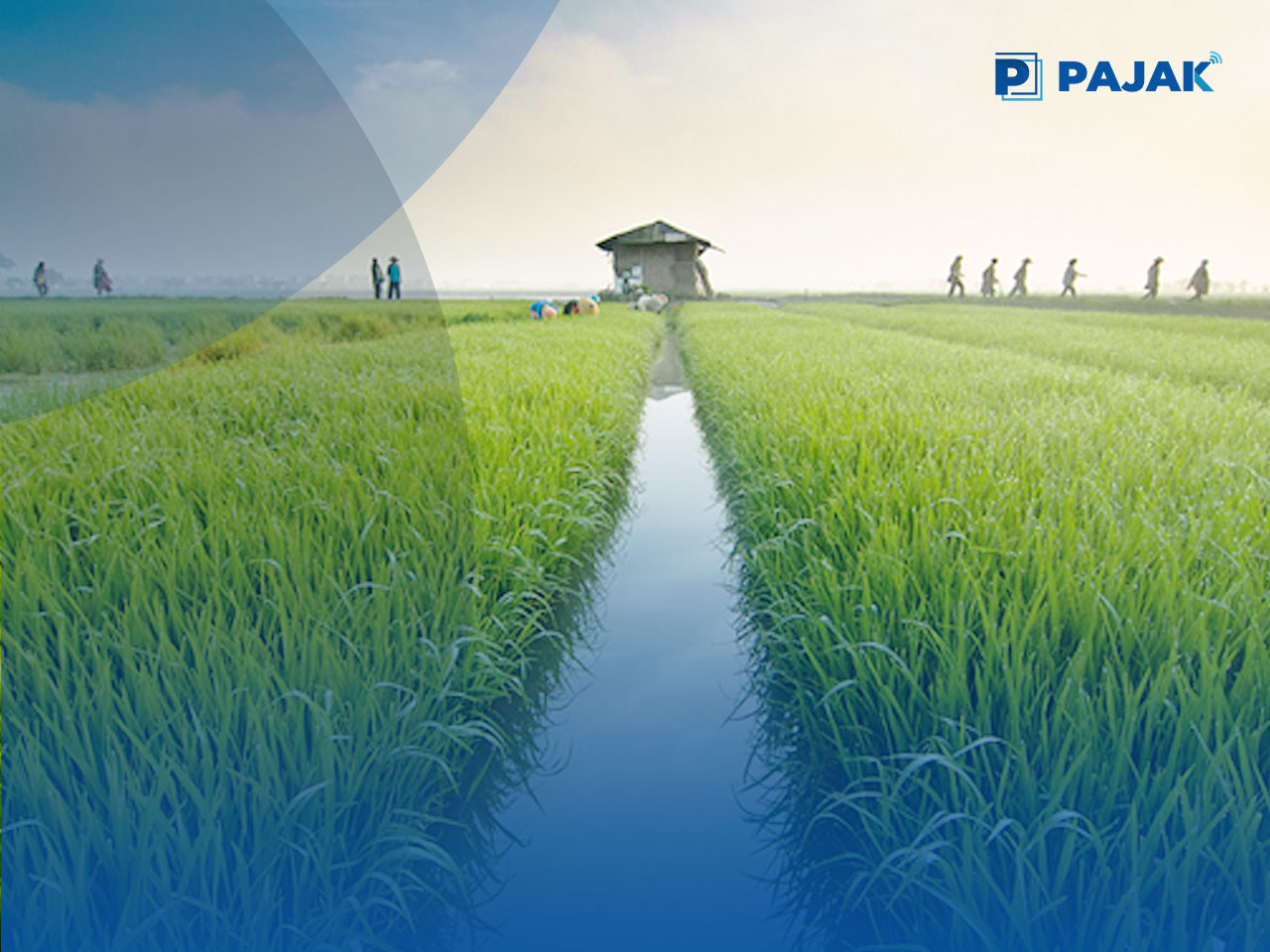 PT Pupuk Indonesia Tambah Kapasitas Produksi Pupuk