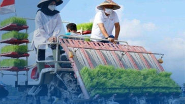Agro Solution Tingkatkan Produktivitas Pertanian Pupuk Indonesia