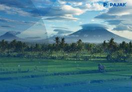 Realisasi Dana Desa Capai Rp 21,9 Triliun di Akhir Mei