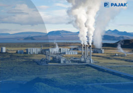 Pertamina Geothermal Energy Sumbang 31 Persen Produksi Geotermal Nasional
