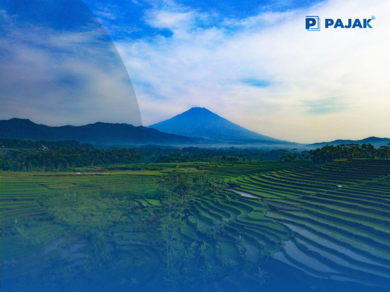 Badan Pusat Statistik Sektor Pertanian Tumbuh Positif pada Triwulan I 2021