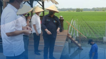 Bank Mandiri Gulirkan Program Kewirausahaan Petani