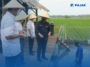 Bank Mandiri Gulirkan Program Kewirausahaan Petani