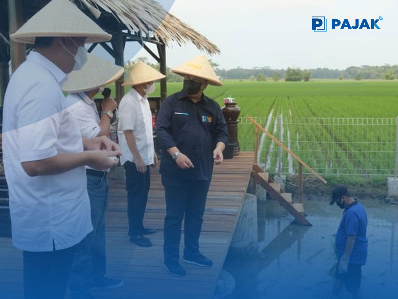 Bank Mandiri Gulirkan Program Kewirausahaan Petani