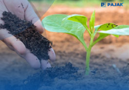 Topang Ketahanan Pangan, Kemenperin Revitalisasi Industri Pupuk