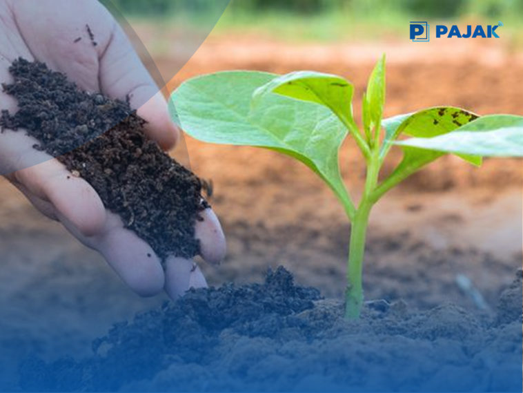 Topang Ketahanan Pangan, Kemenperin Revitalisasi Industri Pupuk