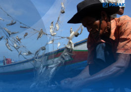 Survey KNTI, Ekonomi Nelayan Membaik di 2021