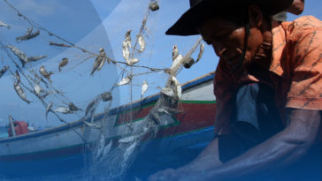 Survey KNTI, Ekonomi Nelayan Membaik di 2021
