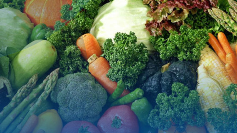 Nilai Ekspor Pertanian Meningkat 33,04 Persen di Juni 2021