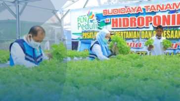 PLN Salurkan Dana TJSL untuk Sektor Pertanian