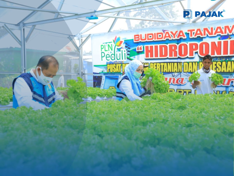 PLN Salurkan Dana TJSL untuk Sektor Pertanian