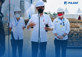 Jokowi Kembangkan Porang sebagai Produk Unggul Ekspor