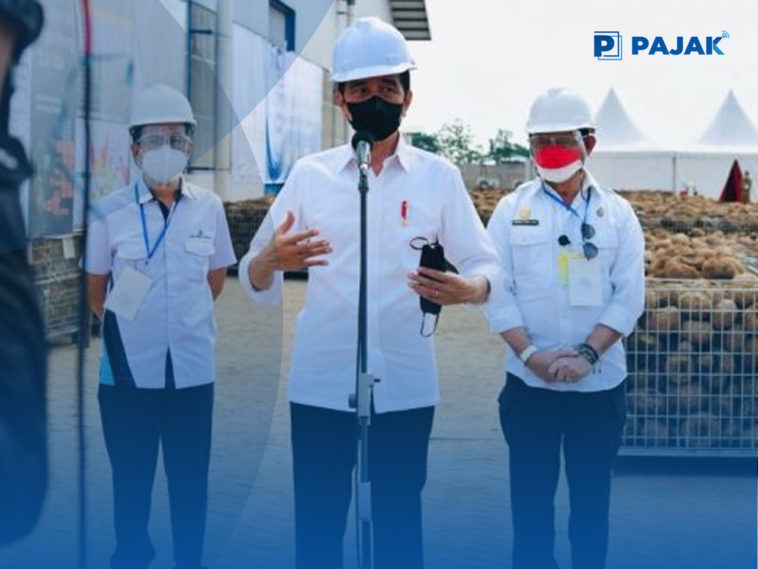 Jokowi Kembangkan Porang sebagai Produk Unggul Ekspor
