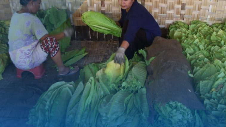 Industri Hasil Tembakau Tolak Rencana Kenaikan Cukai