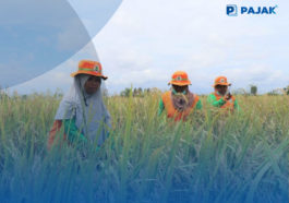 Pembentukan Badan Pangan Perlu Dibarengi Kewenangan