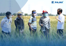 Pemerintah Bangun Inovasi Agromaritim 4.0