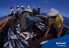 Percepatan Pembangunan Sektor Kelautan dan Perikanan