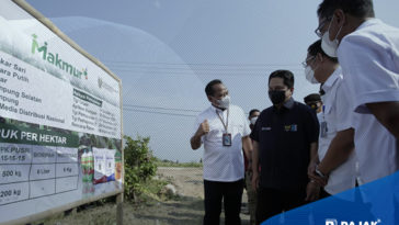 Erick Thohir Segera Resmikan “Holding” BUMN Pangan