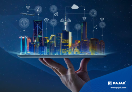Implementasi Smart City, Pembangunan Berkelanjutan