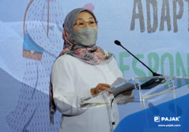 Pemanfaatan Platform e-Smart IKM Untuk Pelaku IKM