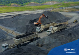 Isu Krisis Energi Dunia Diprediksi Untungkan Indonesia