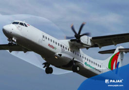 Profil Pelita Air, Maskapai Calon Pengganti Garuda