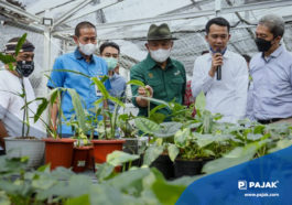 MenkopUKM Kembangkan Potensi Pasar Tanaman Hias