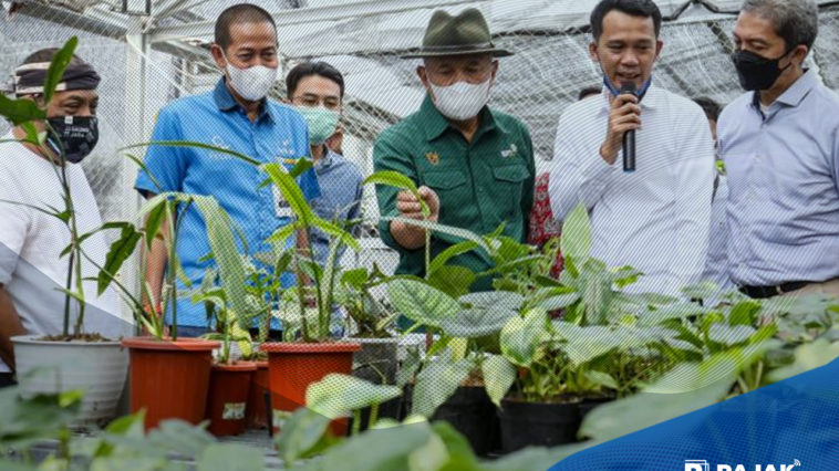 MenkopUKM Kembangkan Potensi Pasar Tanaman Hias