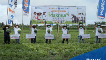 Pupuk Kaltim: Petani Milenial Tingkatkan Produktivitas