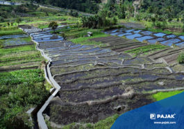 Mengenal Pariwisata Konsep Ekowisata