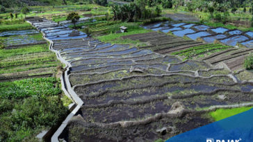 Mengenal Pariwisata Konsep Ekowisata