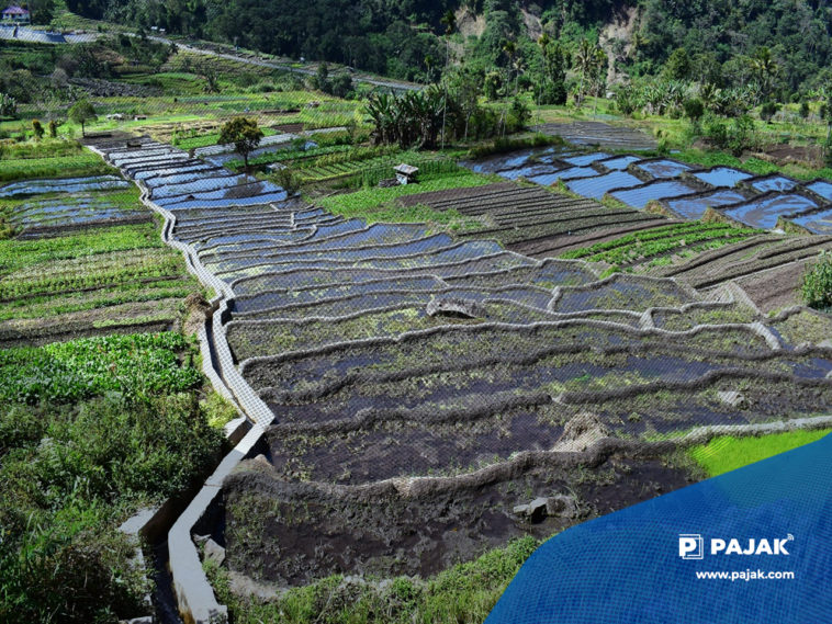 Mengenal Pariwisata Konsep Ekowisata