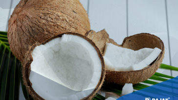 Menkop UKM Dorong Ekspor Kelapa Terintegrasi Koperasi