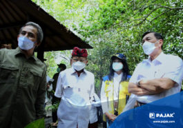 Restorasi Mangrove Minimalkan Efek Gas Rumah Kaca