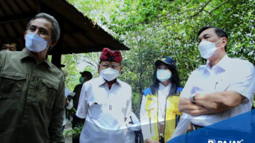 Restorasi Mangrove Minimalkan Efek Gas Rumah Kaca