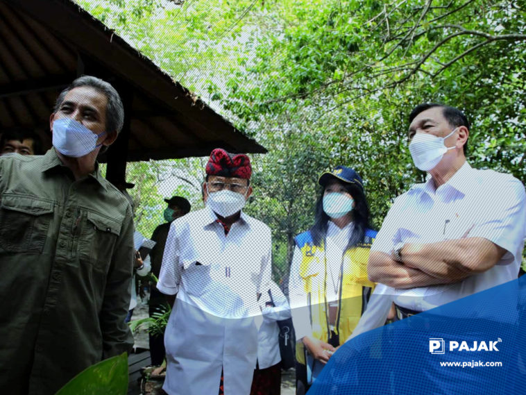 Restorasi Mangrove Minimalkan Efek Gas Rumah Kaca
