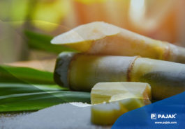 Produsen Gula Timur Tengah Akan Investasi Rp 2 Triliun
