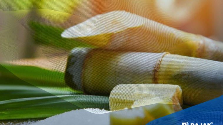 Produsen Gula Timur Tengah Akan Investasi Rp 2 Triliun