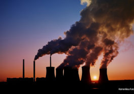 Pro dan Kontra Penerapan Pajak Karbon (Carbon Tax)
