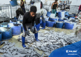 Riset dan Pengembangan SDM Kelautan dan Perikanan